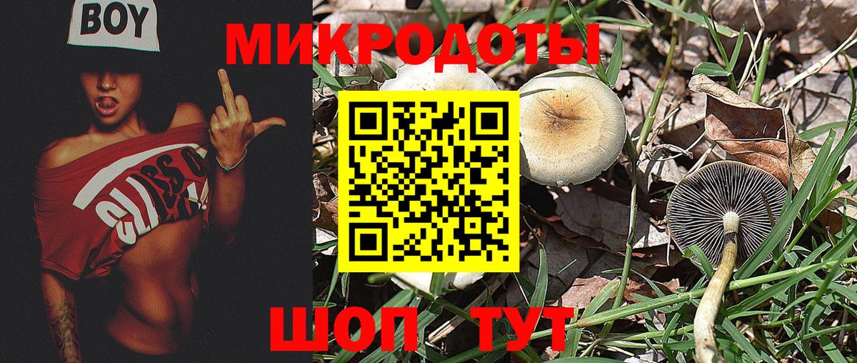 Галлюциногенные грибы прущие грибы  Вход с VPN  Чебаркуль 