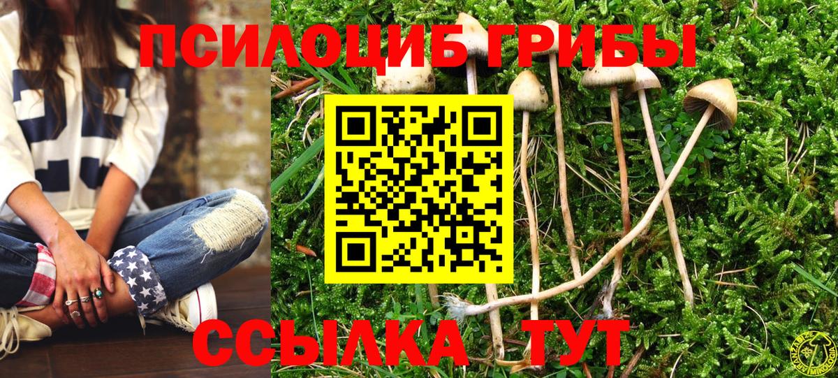 Галлюциногенные грибы прущие грибы Чебаркуль